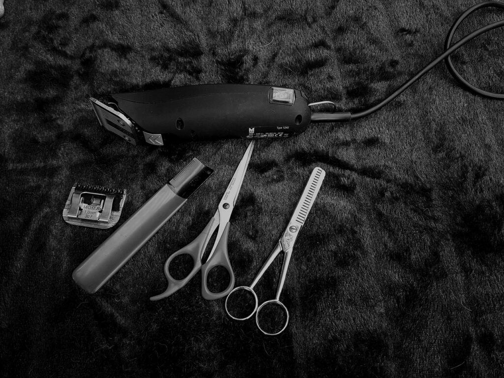 animals-barber-black-and-white-1851535 animals, barber, black and white-1851535.jpg